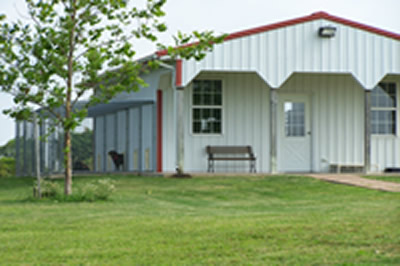 camp creek farm kennels